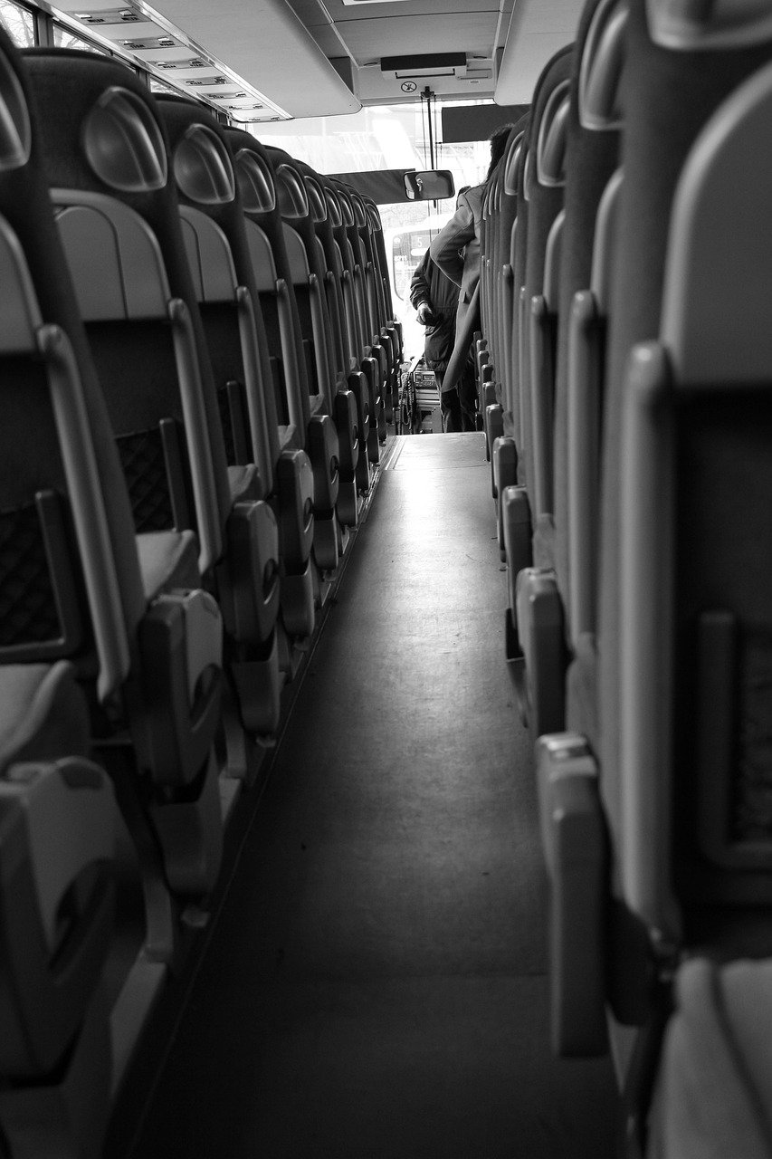 bus, travel, vacations, bus ride, trip, fun, bus driver, bus trip, coach, school bus, vehicle, ride, black-and-white, leisure time, road, city, quickly, piste, path, automobile, bus, bus, bus, bus driver, bus driver, bus driver, bus driver, bus driver, bus trip, bus trip, school bus, school bus, school bus